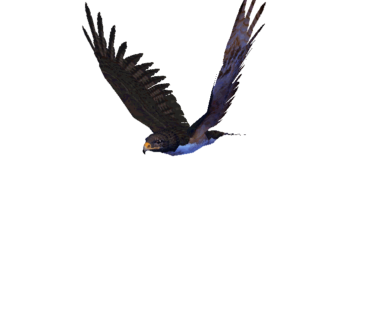 Eagle